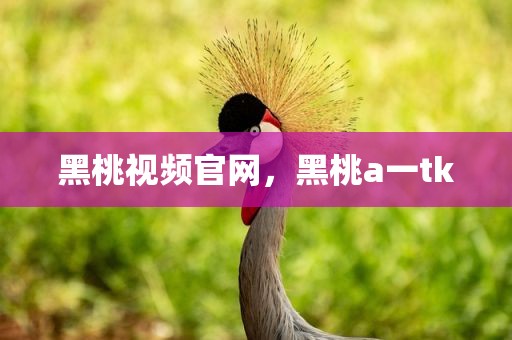 黑桃视频官网，黑桃a一tk