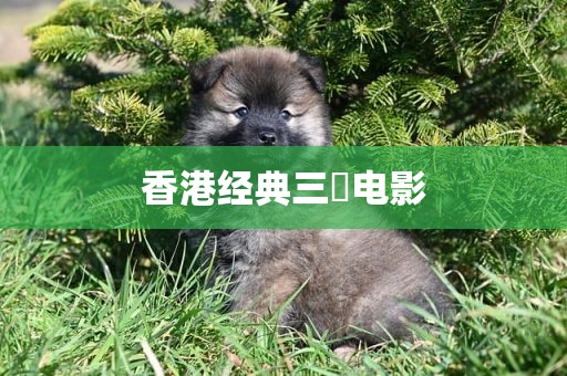 香港经典三㚫电影