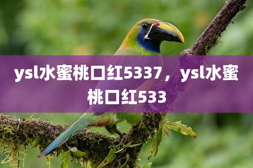 ysl水蜜桃口红5337，ysl水蜜桃口红533