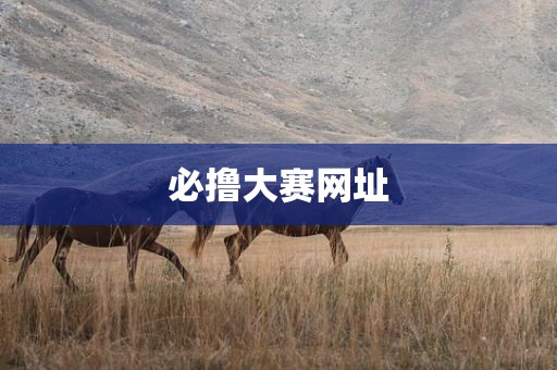 必撸大赛网址