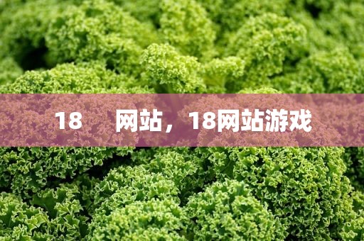 18     网站，18网站游戏