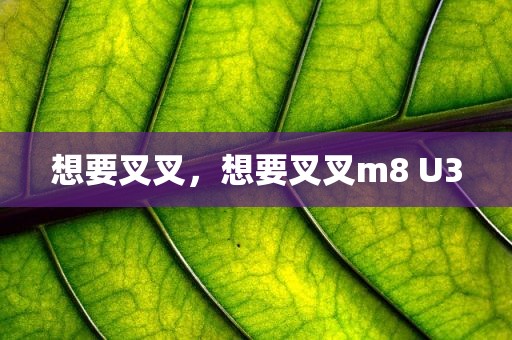 想要叉叉，想要叉叉m8 U3