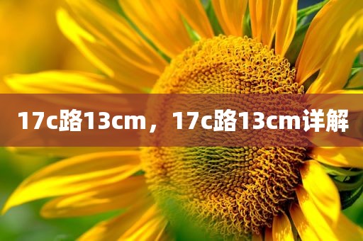 17c路13cm，17c路13cm详解