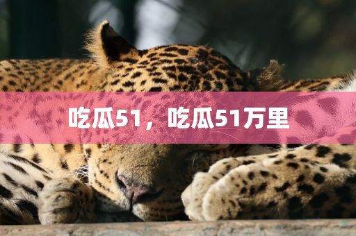 吃瓜51，吃瓜51万里