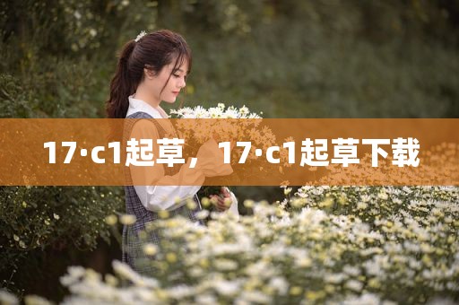 17·c1起草，17·c1起草下载