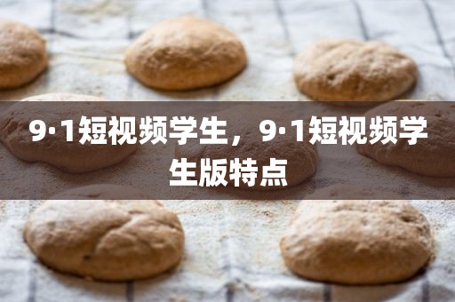 9·1短视频学生，9·1短视频学生版特点
