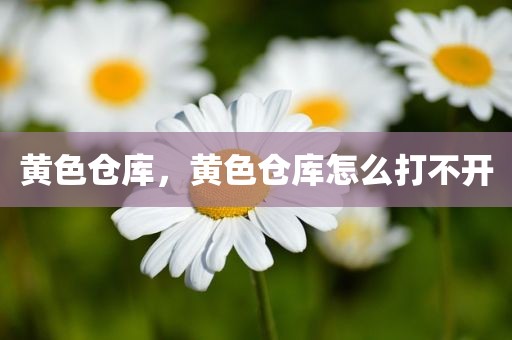 黄色仓库，黄色仓库怎么打不开