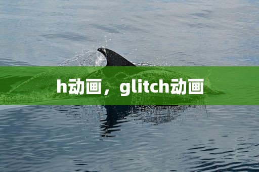 h动画，glitch动画