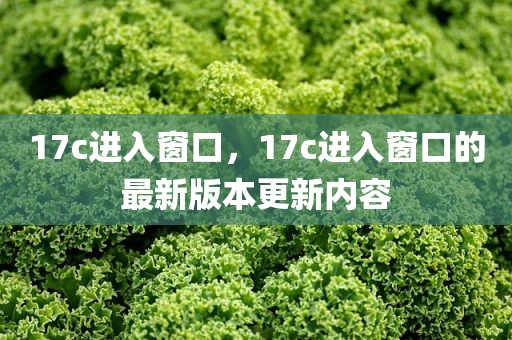 17c进入窗口，17c进入窗口的最新版本更新内容