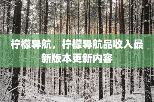 柠檬导航，柠檬导航品收入最新版本更新内容