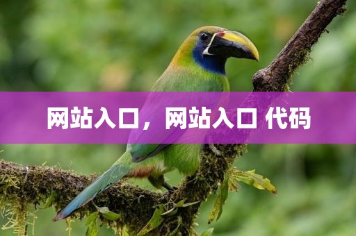 网站入口，网站入口 代码