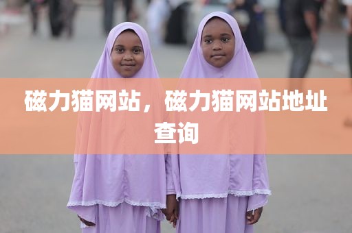 磁力猫网站，磁力猫网站地址查询