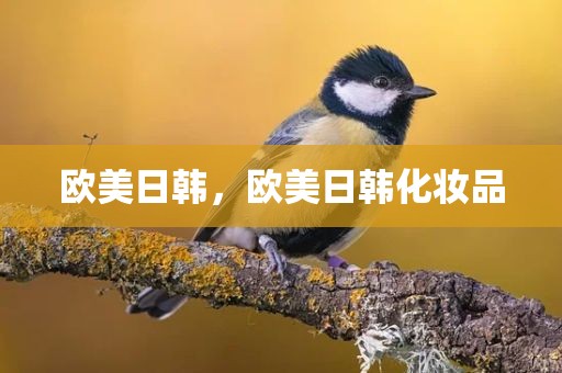 欧美日韩，欧美日韩化妆品
