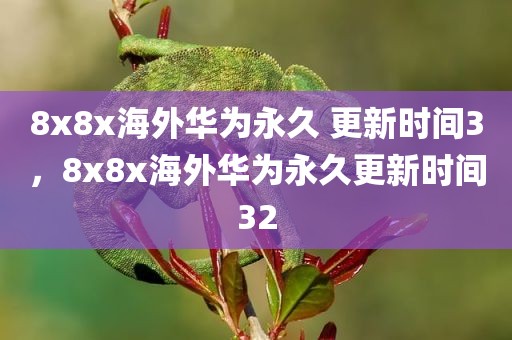 8x8x海外华为永久 更新时间3，8x8x海外华为永久更新时间32
