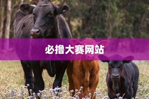 必撸大赛网站