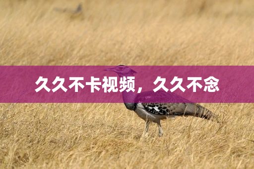 久久不卡视频，久久不念