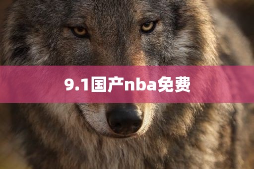 9.1国产nba免费