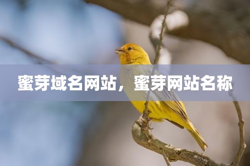 蜜芽域名网站，蜜芽网站名称