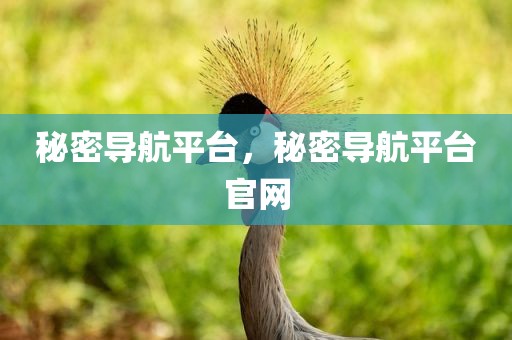 秘密导航平台，秘密导航平台官网