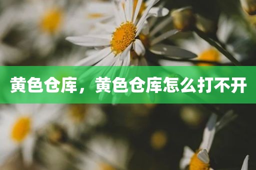 黄色仓库，黄色仓库怎么打不开
