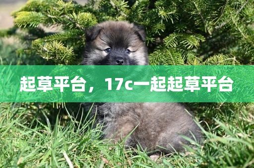 起草平台，17c一起起草平台