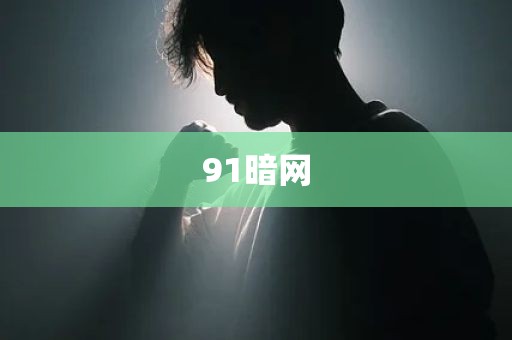 91暗网
