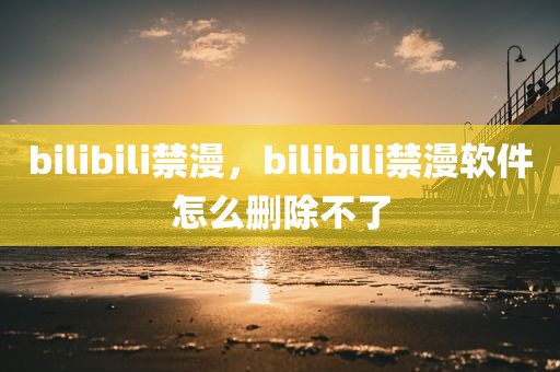 bilibili禁漫，bilibili禁漫软件怎么删除不了
