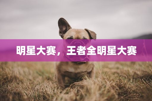 明星大赛，王者全明星大赛