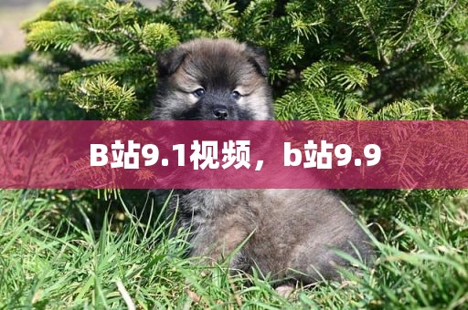 B站9.1视频，b站9.9