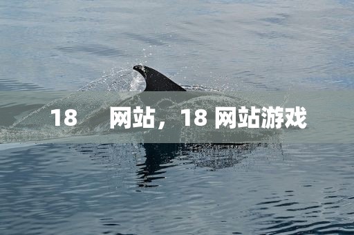 18     网站，18 网站游戏
