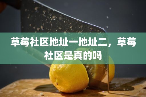 草莓社区地址一地址二，草莓社区是真的吗