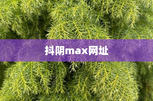 抖阴max网址