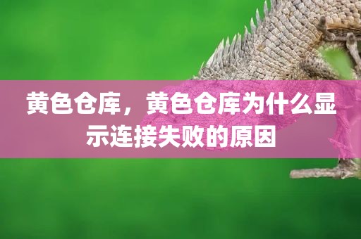 黄色仓库，黄色仓库为什么显示连接失败的原因