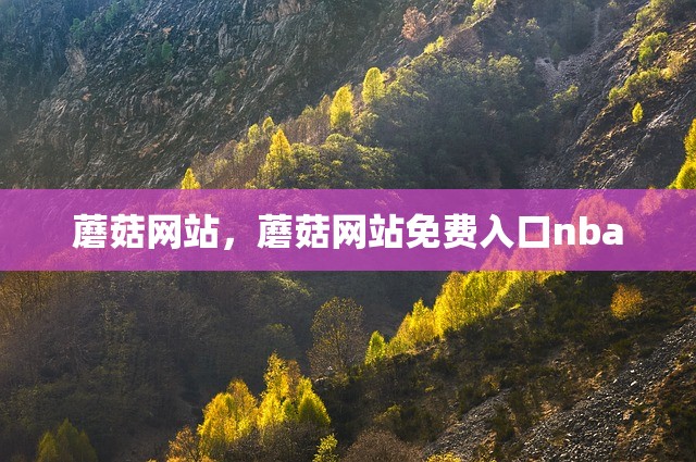蘑菇网站，蘑菇网站免费入口nba