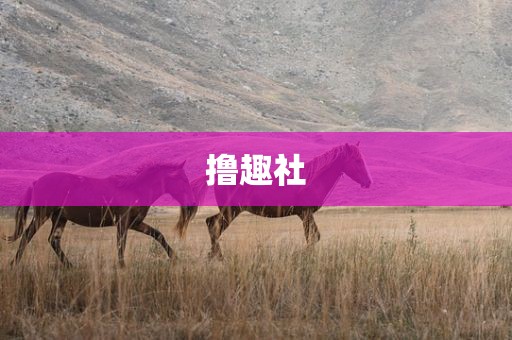 撸趣社