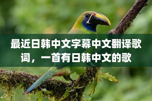 最近日韩中文字幕中文翻译歌词，一首有日韩中文的歌