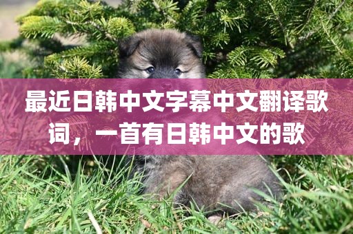 最近日韩中文字幕中文翻译歌词，一首有日韩中文的歌