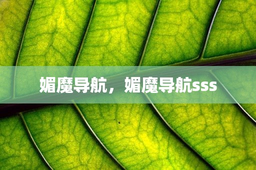 媚魔导航，媚魔导航sss