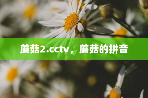 蘑菇2.cctv，蘑菇的拼音