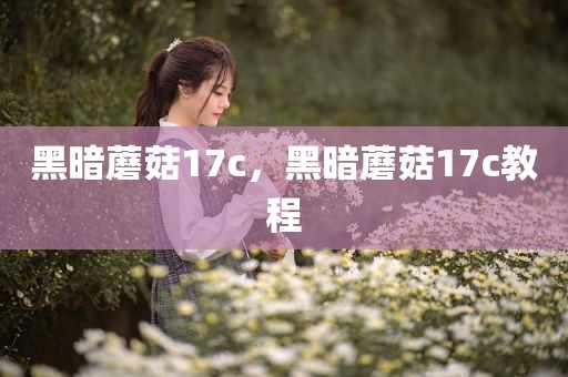 黑暗蘑菇17c，黑暗蘑菇17c教程