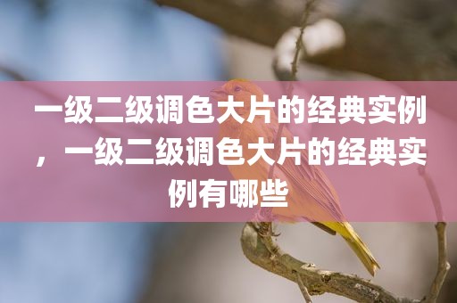 一级二级调色大片的经典实例，一级二级调色大片的经典实例有哪些