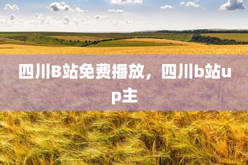 四川B站免费播放，四川b站up主