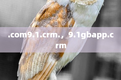 .com9.1.crm.，9.1gbapp.crm