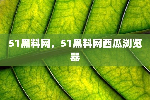51黑料网，51黑料网西瓜浏览器