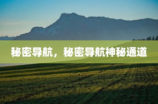 秘密导航，秘密导航神秘通道