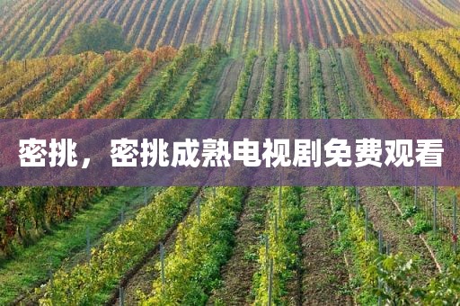 密挑，密挑成熟电视剧免费观看