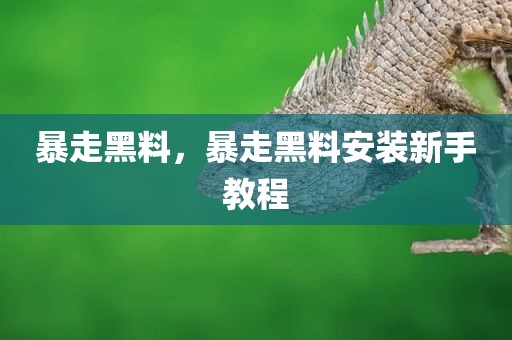 暴走黑料，暴走黑料安装新手教程