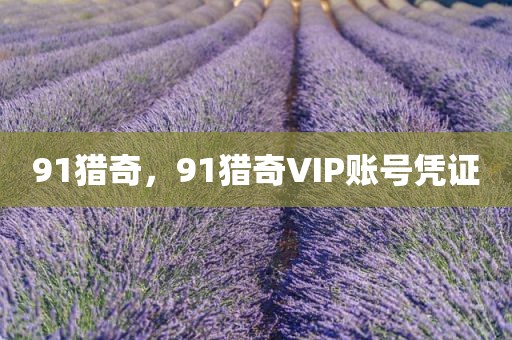 91猎奇，91猎奇VIP账号凭证