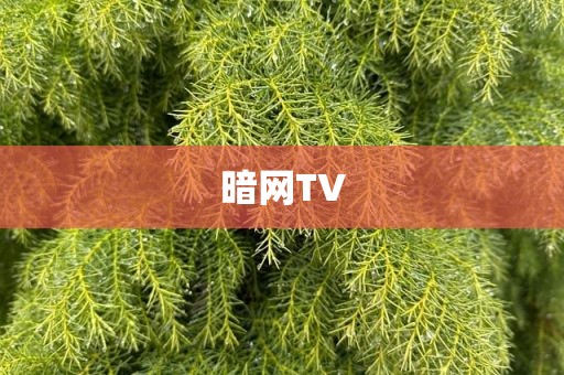 暗网TV