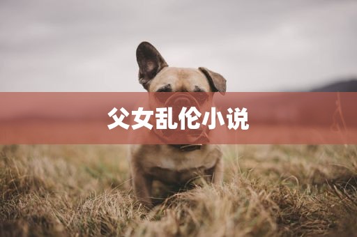 父女乱伦小说